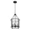 Z-Lite Barrington Pendant, 4-Light, 12 In.W x 21 In.H, Matte Black/Clear Waterglass 346P12-MB - alternate 6